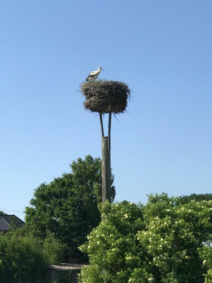 Landhaus Zum Storchennest Kloster Wulfshagen ภายนอก รูปภาพ